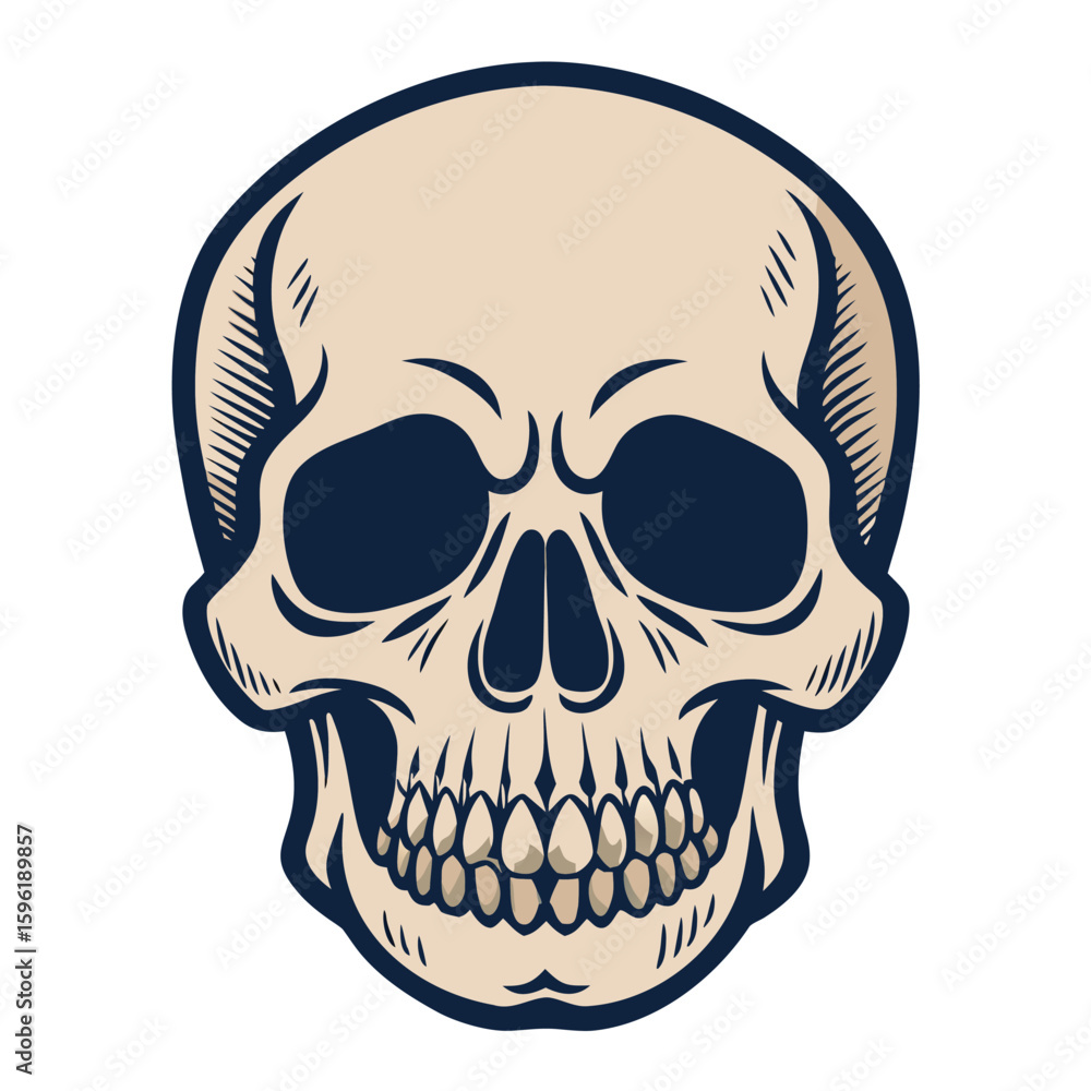 Fototapeta premium Skull Illustration with Line Art Shading and Dark Blue Outline Design