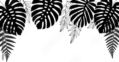 Tropical Leaves Frame art vector graphics black