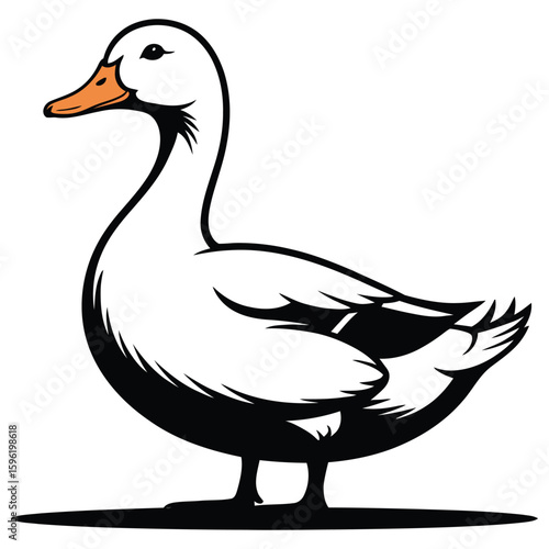 duck on white