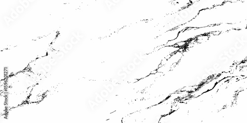 "A high-contrast, black and white abstract texture resembling distressed marble or cracked ice, with organic, flowing lines and scattered dark splotches against a pure white background. 