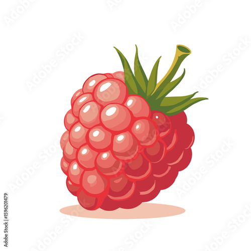 Exclusive gourmet varieties. Cartoonish close-up illustration of a glossy red raspberry, vibrant and detailed, perfect for children's food packaging or sweet dessert advertisements.