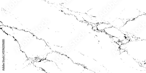 "A high-contrast, black and white abstract texture resembling distressed marble or cracked ice, with organic, flowing lines and scattered dark splotches against a pure white background. 