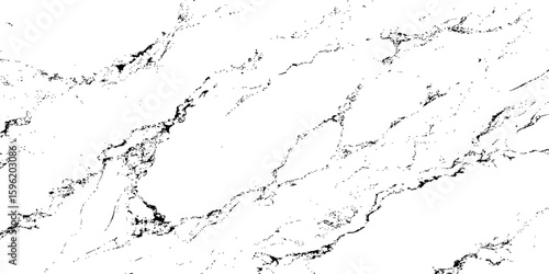 "A high-contrast, black and white abstract texture resembling distressed marble or cracked ice, with organic, flowing lines and scattered dark splotches against a pure white background. 