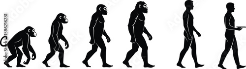 Evolution of humans from primates, human development timeline, scientific illustration, anthropology study, educational image, biological transformation, mankind history