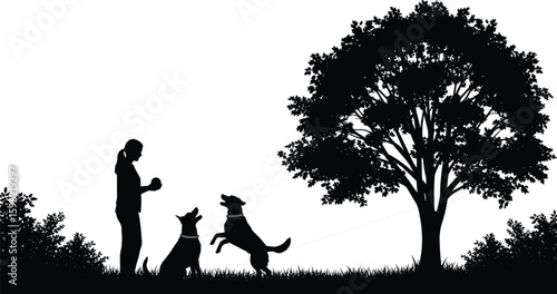 Silhouette of person training two dogs, leash and gesture illustration, outdoor pet obedience scene, park nature background, companion animals concept