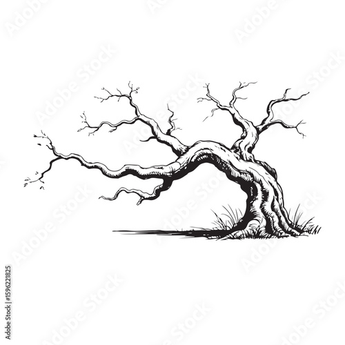 Monochrome Illustration of a Bare Tree with Gnarled Branches and Visible Roots Clinging to the Earth in a Vector Style