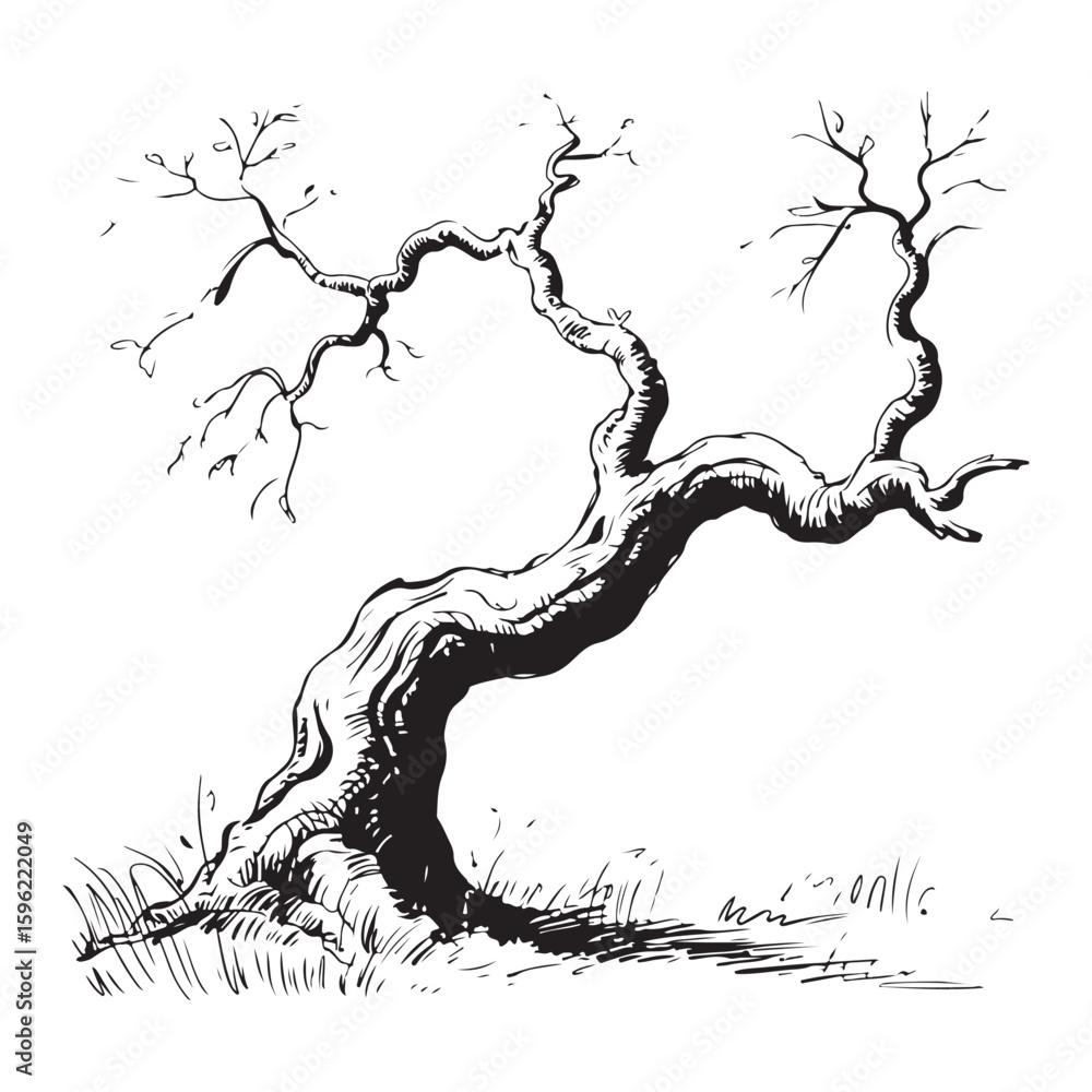 Obraz premium Monochrome Illustration of a Gnarled Tree Standing Alone with Bare Branches in a Field of Grass in Early Winter