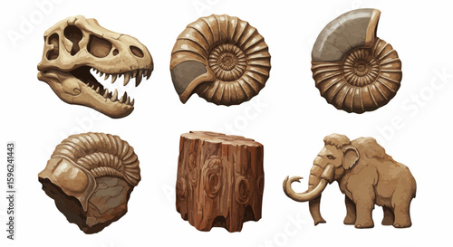 Illustrated collection of prehistoric fossils, a dinosaur skull, and a mammoth.