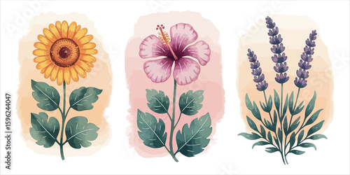 Art of watercolor floral blossom illustration