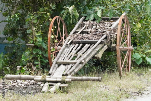 Принти на полотні A traditional bullock cart is standing on a grass area