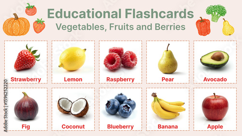 Educational Flashcards Vegetables, Fruits and Berries