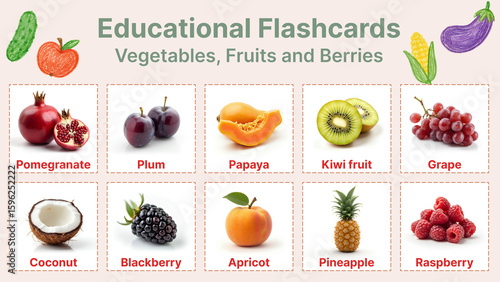 Educational Flashcards Vegetables, Fruits and Berries