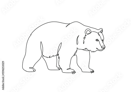 Bear drawing. It is a black and white outline image of a bear, depicting the majestic and powerful wild animal. Vector sketch line art draw.