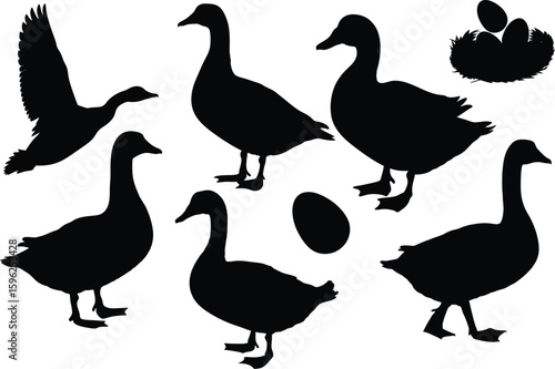 Collection of diverse goose silhouettes in various poses and nest with eggs