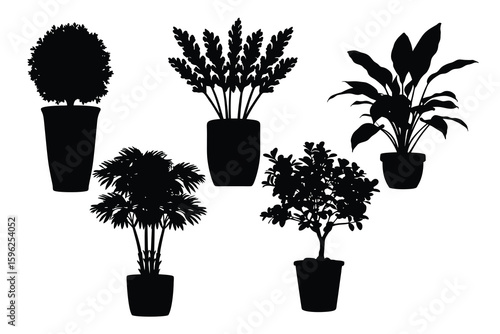 Collection of five potted houseplants in a distinctive black silhouette style