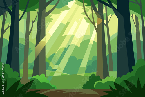 lush forest with sunlight breaks