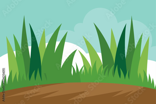 soft grass on woodland ground