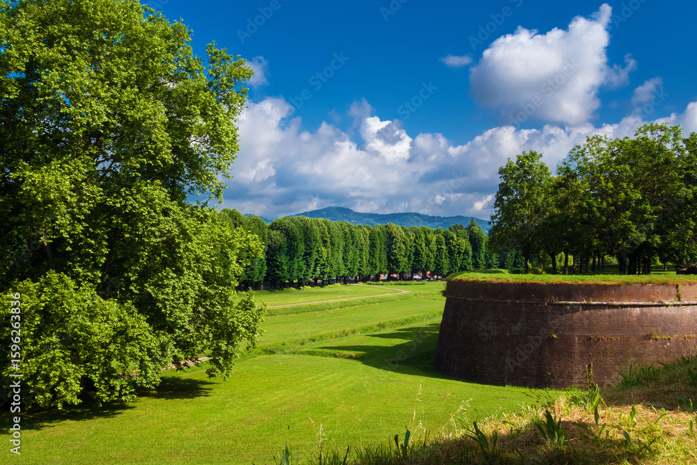 Naklejka premium Lucca city walls beautiful park with sycamore and lindens