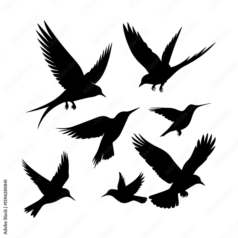Obraz premium Collection of silhouetted birds in various flying poses