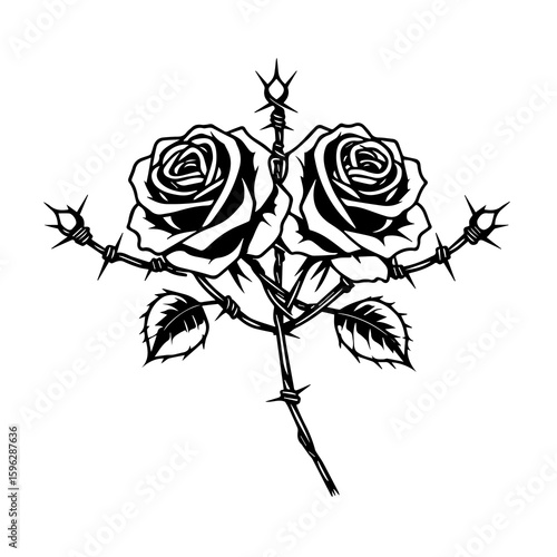 Two black roses entwined with barbed wire and thorns