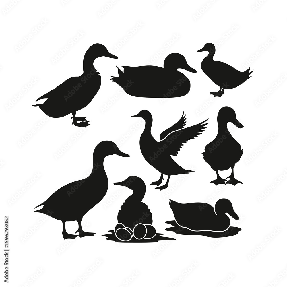 Fototapeta premium Black duck silhouettes in various poses on white background 2
