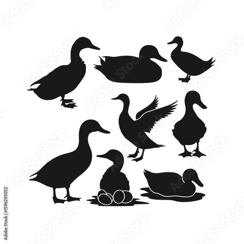 Black duck silhouettes in various poses on white background 2