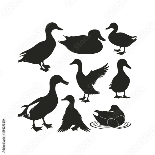 Collection of black duck silhouettes in various poses 3