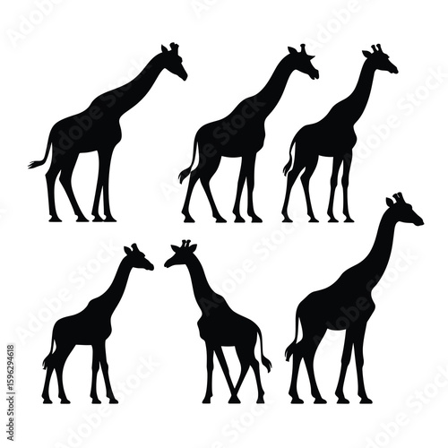 Six black giraffe silhouettes on white background animal