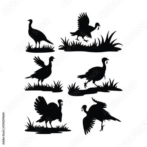 Six Black Turkey Silhouettes in Grass bird wild