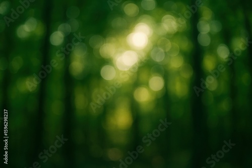 Fototapeta Naklejka Na Ścianę i Meble -  Blurred green forest bokeh background
