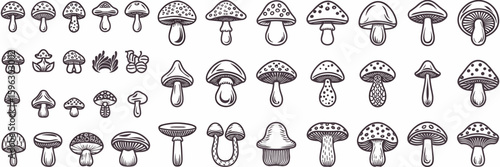 Illustrated mushroom icons in various styles, sizes, and textures