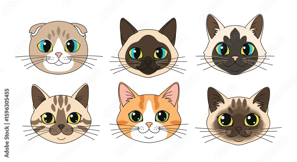Fototapeta premium An adorable collection of six distinct feline faces expressing various sweet expressions