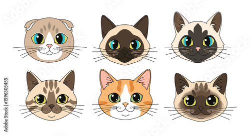 An adorable collection of six distinct feline faces expressing various sweet expressions