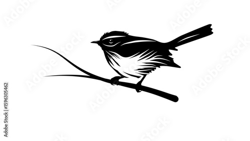 Fairy Flycatcher bird , black isolated silhouette