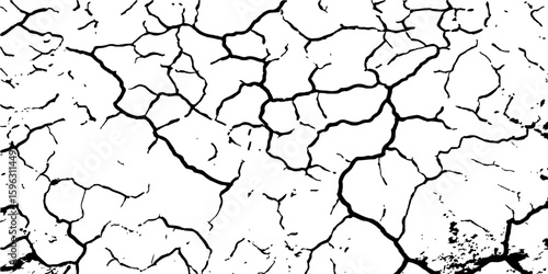 Dry, cracked tree bark texture shows an abstract pattern of arid earth