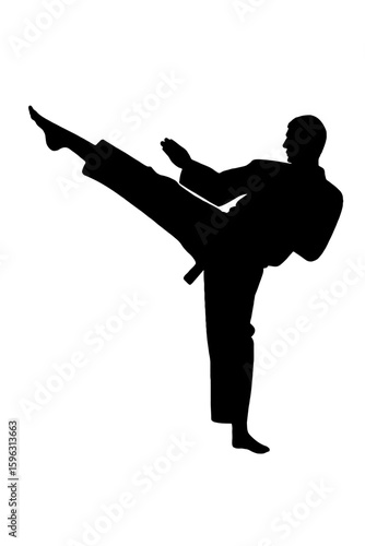 Martial Arts Kick Silhouette Illustration