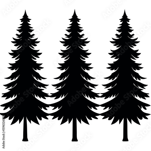 Three black pine trees silhouette on white background