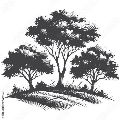 Trees Silhouette vector on white background.