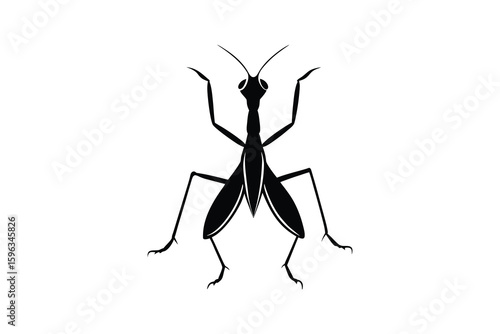 Striking Praying Mantis Illustration on White Background with Detailed Legs and Antennae Depicted in a Minimalist Silhouette black praying mantis silhouette