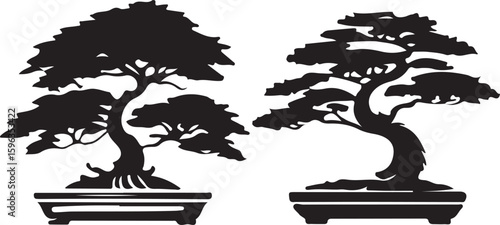 Collection of Two Bonsai Trees in Different Styles on Transparent Background