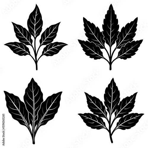 Four black and white leaf clusters with detailed veins arranged on a white background in a symmetrical layout