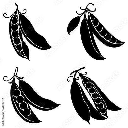 Four black and white pea pods with curled stems in a symmetrical arrangement on a white background design
