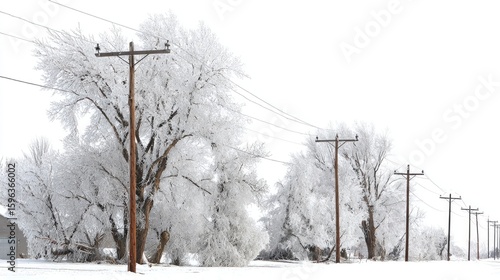 Snowy Landscape with Power Lines and Frosty Trees