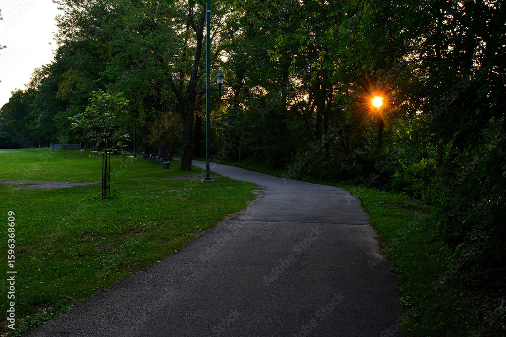 Obraz premium Peaceful Pathway Through a Park at Sunset
