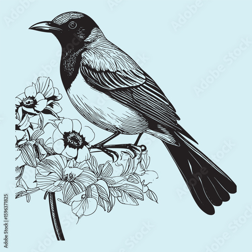 bird on a branch