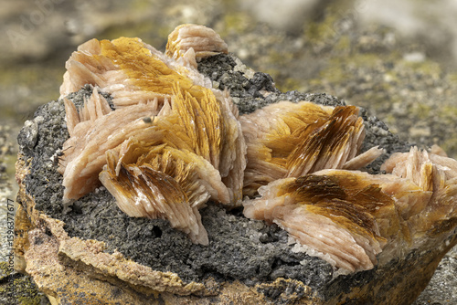 amellar barite crystals in vibrant orange hues growing on a dark mineral matrix. Detailed texture and color contrast make it perfect for geology, science, and macro mineral photography