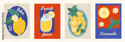 Lemon, limoncello and lemon slices in mediterranean frames set. Vector elegant colorful doodle illustration of lemons, label for poster, invitation, placard. Italian style vacation vector illustration