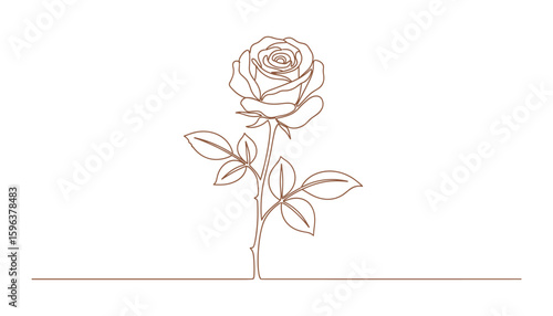 Brown Line Art Rose Flower Blossom Stem with Leaves on White Background Vector Illustration