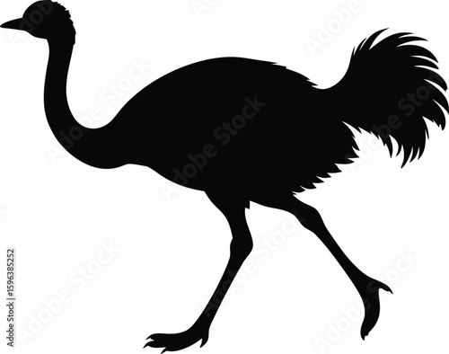 best ostrich bird running graphic vector for nature projects