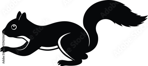 modern squirrel creative vector design ideas